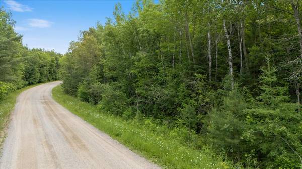 TBD Lot B Co Rd 533, Effie, MN 56639