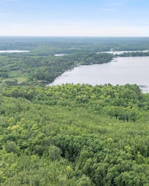 TBD Lot B Co Rd 533, Effie, MN 56639