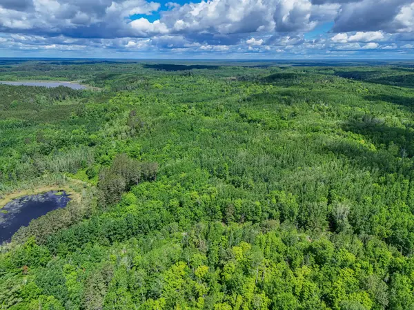 TBD Lot B Co Rd 533, Effie, MN 56639