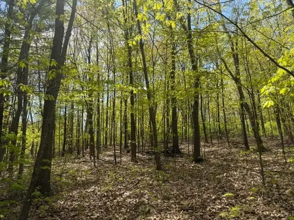 TBD 1st ST, Taylors Falls, MN 55084