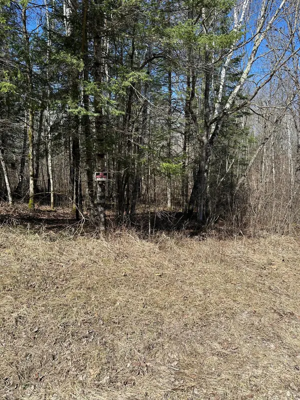 TBD CT 307, Blackduck, MN 56630
