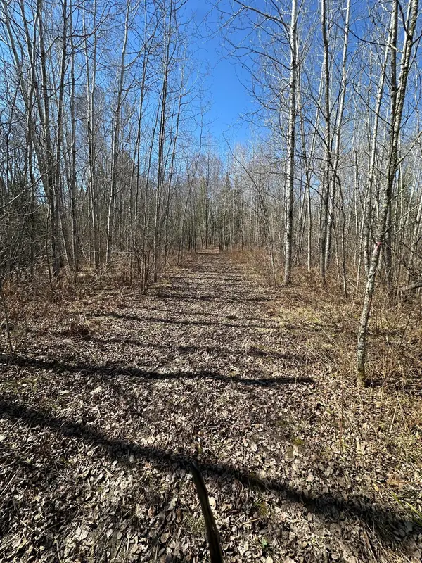 TBD CT 307, Blackduck, MN 56630
