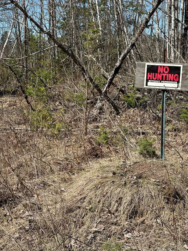 TBD CT 307, Blackduck, MN 56630