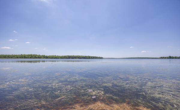 2665 N Boy Lake TRL NE, Remer, MN 56672