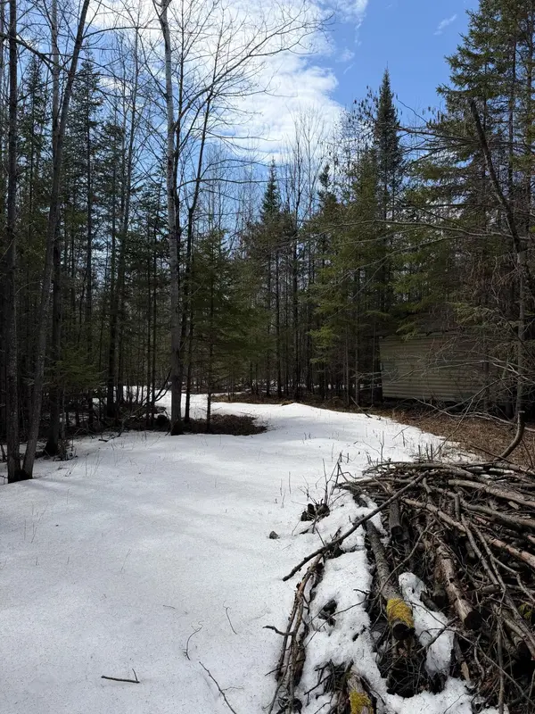 96xx Gappa RD, Kabetogama, MN 56669