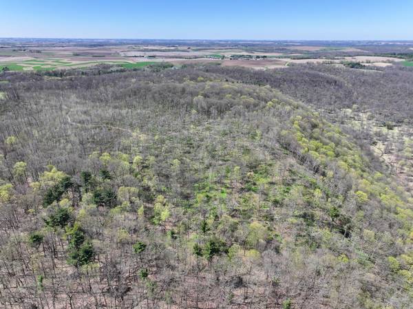 tbd Tierney DR, Saint Charles, MN 55910