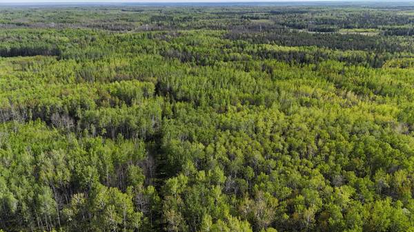 TBD Town Road 118, Birchdale, MN 56629