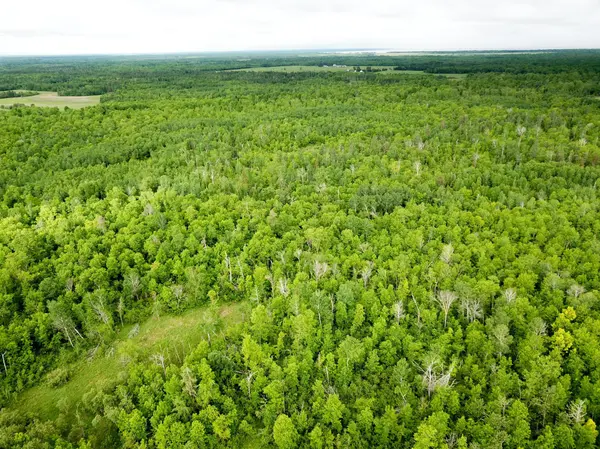 TBD Cormorant RD NE, Kelliher, MN 56650