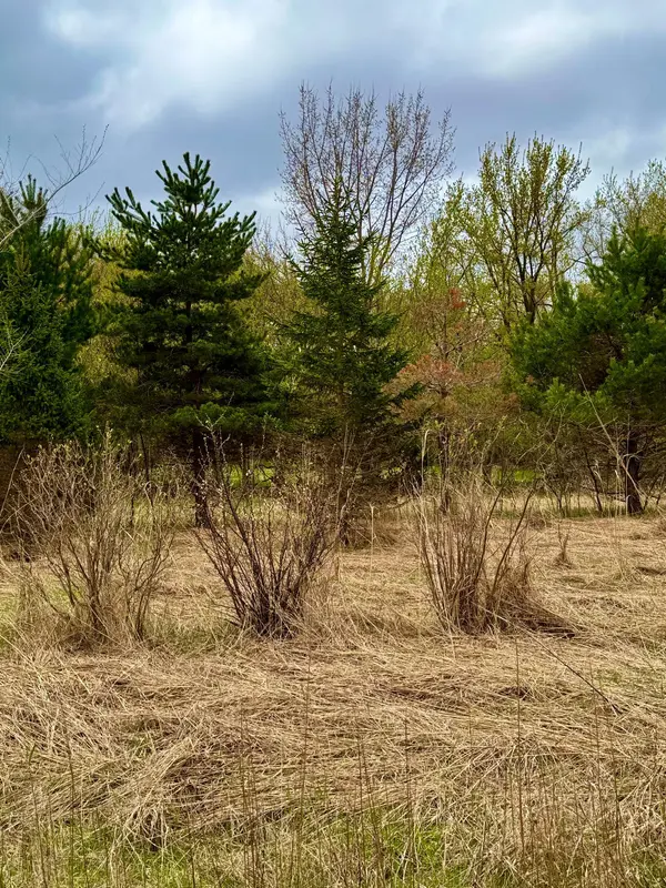 10817 Grand Lake RD, Cold Spring, MN 56320