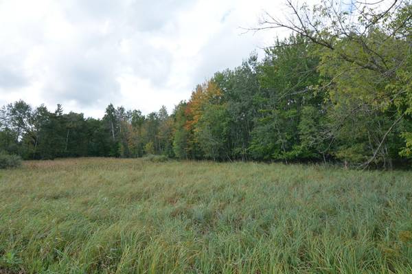 TBD 130th AVE, Milaca, MN 56353