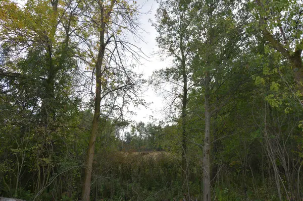 TBD 130th AVE, Milaca, MN 56353