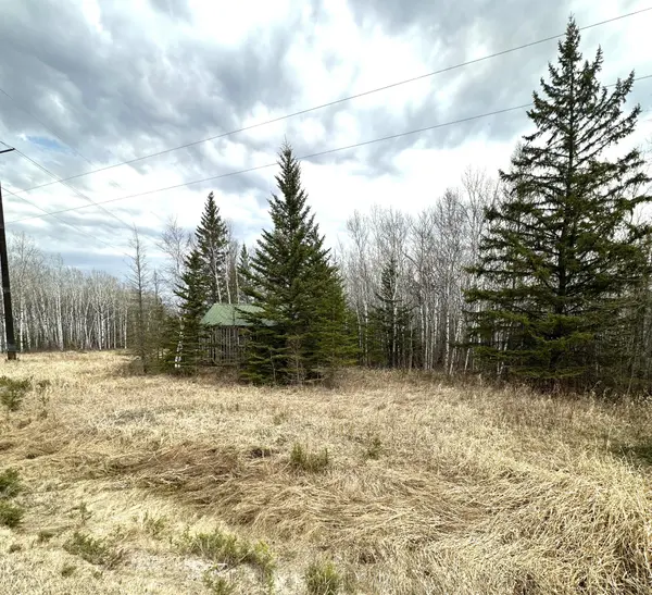 1656 78th AVE NW, Williams, MN 56686
