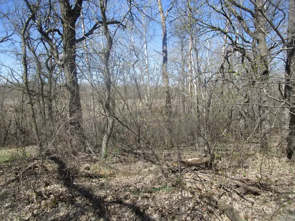 TBD Burgen TER SE, Alexandria, MN 56308