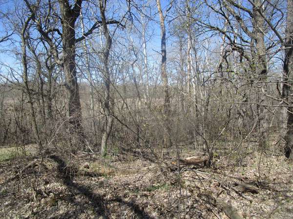 TBD Burgen TER SE, Alexandria, MN 56308