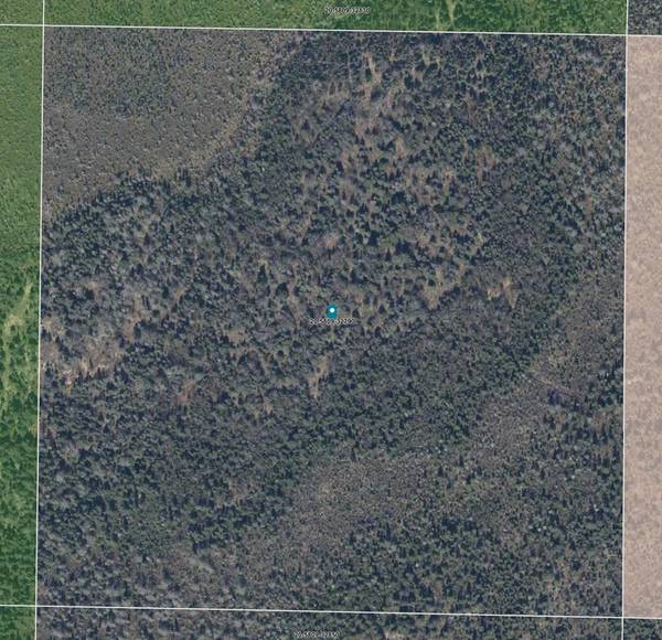 TBD Cloquet Lake Road, Finland, MN 55603