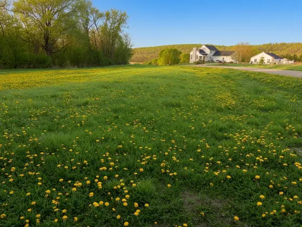 TBD Vista Ridge LN NW, Byron, MN 55901