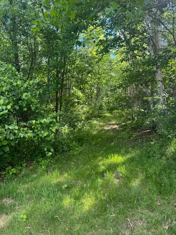 49382 Pansy Landing RD, Sandstone, MN 55072