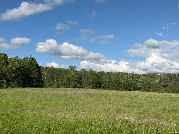 TBD County 63, Boy River, MN 56672