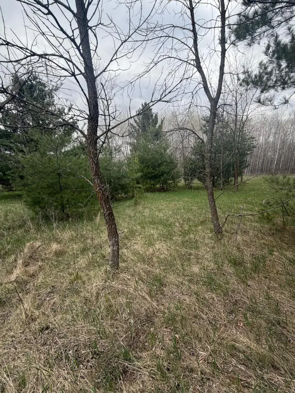 TBD Ottawa, Browerville, MN 56438