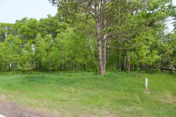 XXX Lot 3 283rd AVE NW, Zimmerman, MN 55398