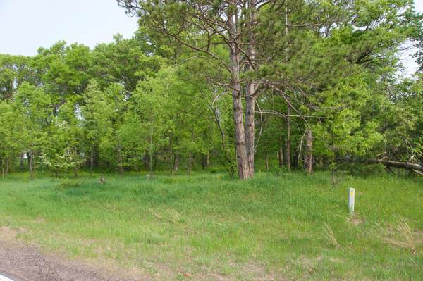 XXX Lot 3 283rd AVE NW, Zimmerman, MN 55398