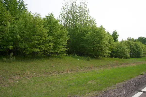XXX Lot 3 283rd AVE NW, Zimmerman, MN 55398