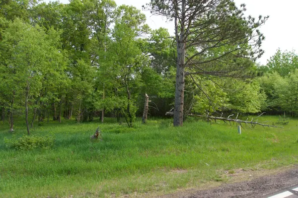 XXX Lot 3 283rd AVE NW, Zimmerman, MN 55398