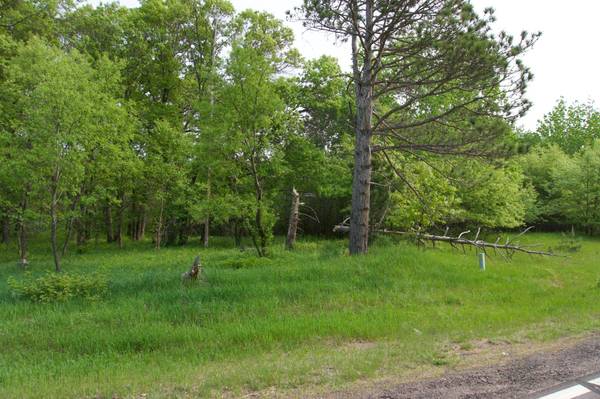 XXX Lot 3 283rd AVE NW, Zimmerman, MN 55398
