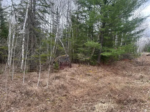 TBD N Birch Drive, Coleraine, MN 55721