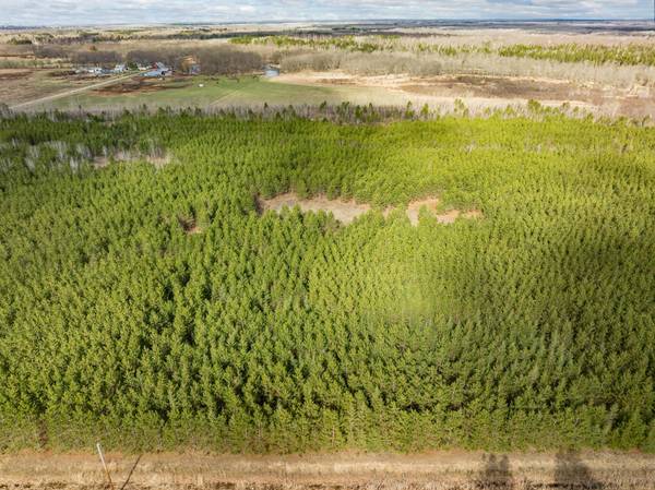 Lot 1 Scenic Hwy 7, Bovey, MN 55709