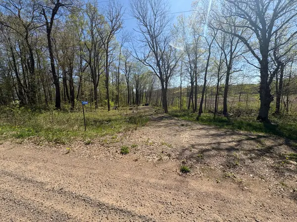 47292 Baffie BND, Garrison, MN 56450