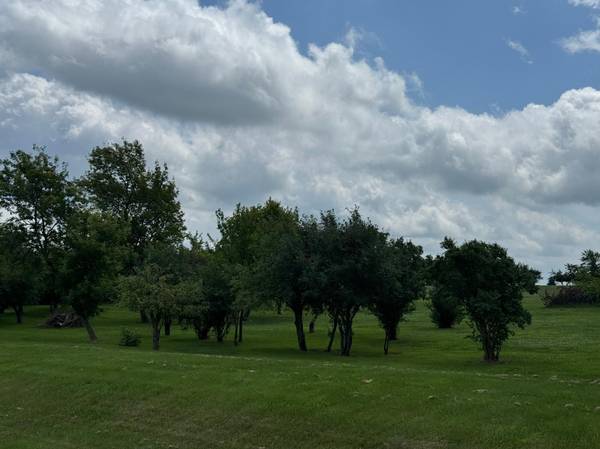 tbd 302nd AVE, Lake City, MN 55041