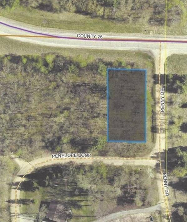 TBD Penelope LOOP, Browerville, MN 56438