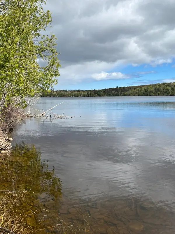 100 Wilderness Trail, Hovland, MN 55606