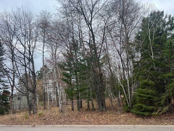 TBD 3rd AVE SW, Grand Rapids, MN 55744