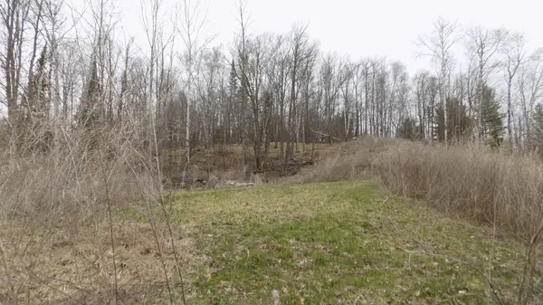 TBD Bluebill Bay RD, Bovey, MN 55709