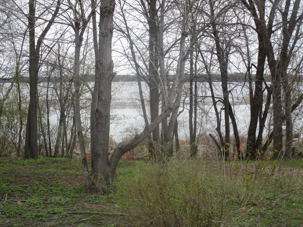 15684 County Road 102 NE, Parkers Prairie, MN 56361