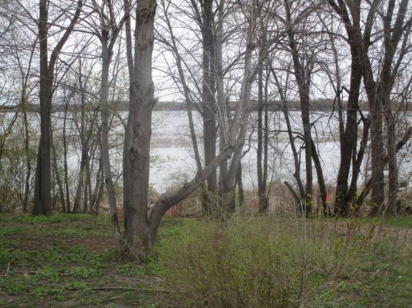 15684 County Road 102 NE, Parkers Prairie, MN 56361