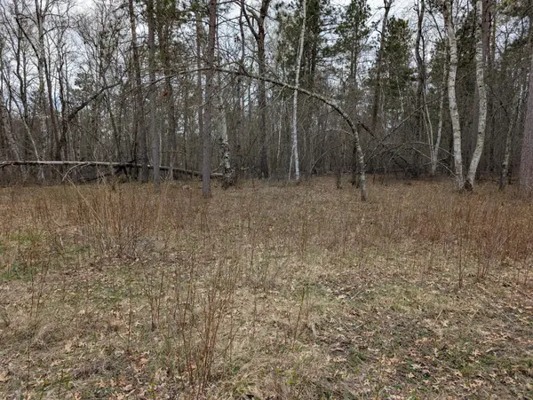 35546 Pine Terrace RD, Crosslake, MN 56442