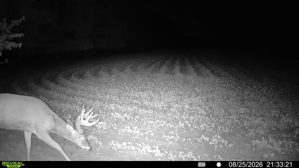 TBD Nightingale ST, Braham, MN 55006