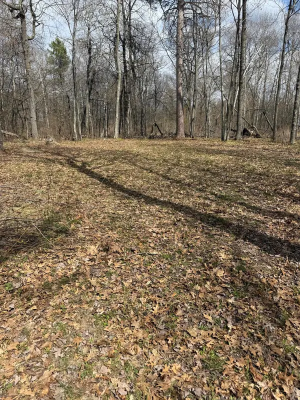 TBD County Road 16, Pequot Lakes, MN 56472