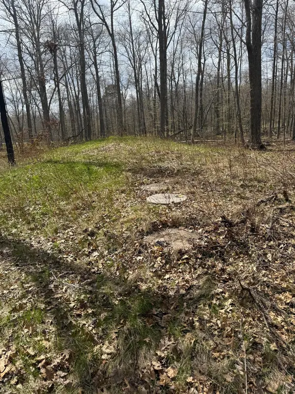 TBD County Road 16, Pequot Lakes, MN 56472