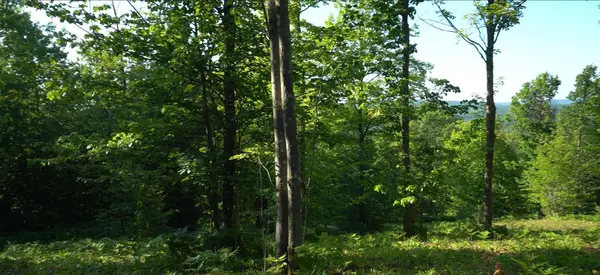 83xxx - Lot 13 Ashwabay RD, Bayfield, WI 54814
