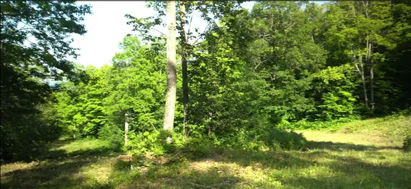 83xxx - Lot 11 Ashwabay RD, Bayfield, WI 54814