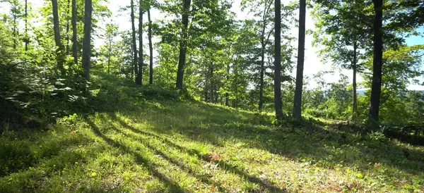 83xxx - Lot 11 Ashwabay RD, Bayfield, WI 54814
