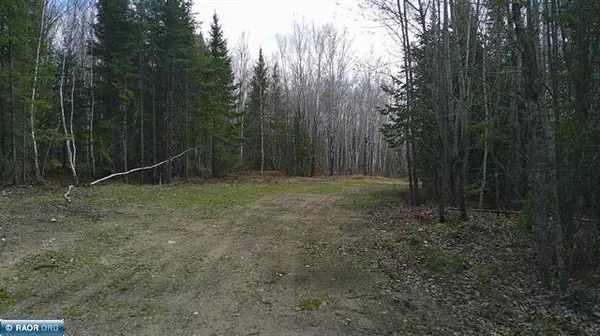 TBD Parcel 20 Hwy 115, Tower, MN 55790