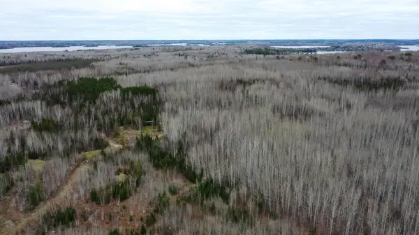 TBD Parcel 20 Hwy 115, Tower, MN 55790
