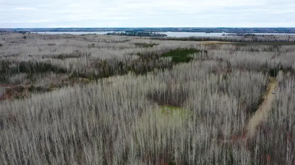 TBD Parcel 20 Hwy 115, Tower, MN 55790