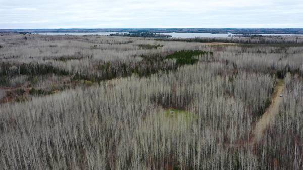TBD Parcel 20 Hwy 115, Tower, MN 55790