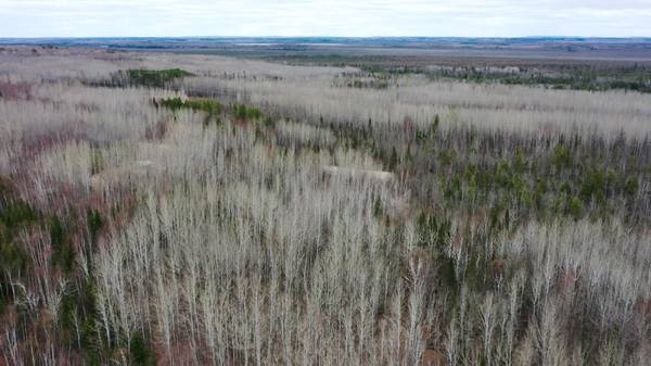 TBD Parcel 20 Hwy 115, Tower, MN 55790